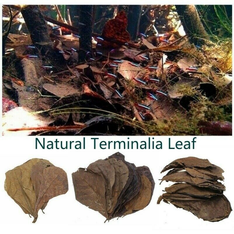 Picture 1