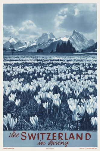 Vintage Retro Travel Poster Print