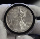 1996 US Silver Eagle $1 Nice Unc (Key Date).