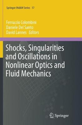 Shocks, Singularities and Oscillations in Nonlinear Optics an... - 9783319848044