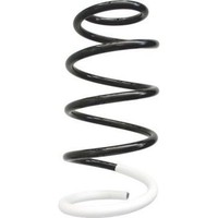 Spidan 86708 Fahrwerksfeder FüR Fiat Citroen Peugeot Jumpy Expert Tepee Scudo