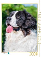 Calvendo Puzzle Landseer Portrait | 2000 Pieces, Finished Size 35.4 × 26.4 In (9