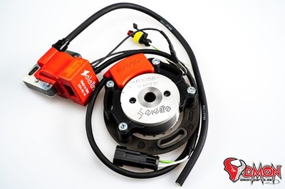 Selettra komplett System A11 für Sachs 3 Gang 90mm Grundplatte Rotor 58 mm