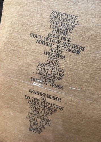 NEW 2 CD Set PEARL JAM Official Bootleg SALZBURG AUSTRIA 18.6.00 LIVE 2000 - Imagen 2 de 2