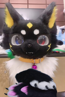 Fursuit Husky Fox Mascot (head + PAWS) Halloween Party Fur Cosplay 120#