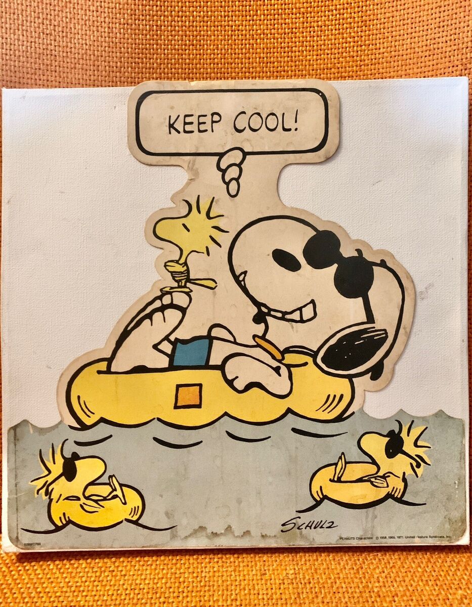 Vintage 1971 Schulz Peanuts Charlie Brown Snoopy Woodstock Vintage 1971 Schulz Peanuts Charlie Brown Snoopy Woodstock