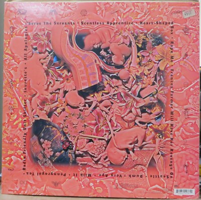 NIRVANA 1993 “IN UTERO” ORIGINAL EDITION 170.8066 GEFFEN INSERT +