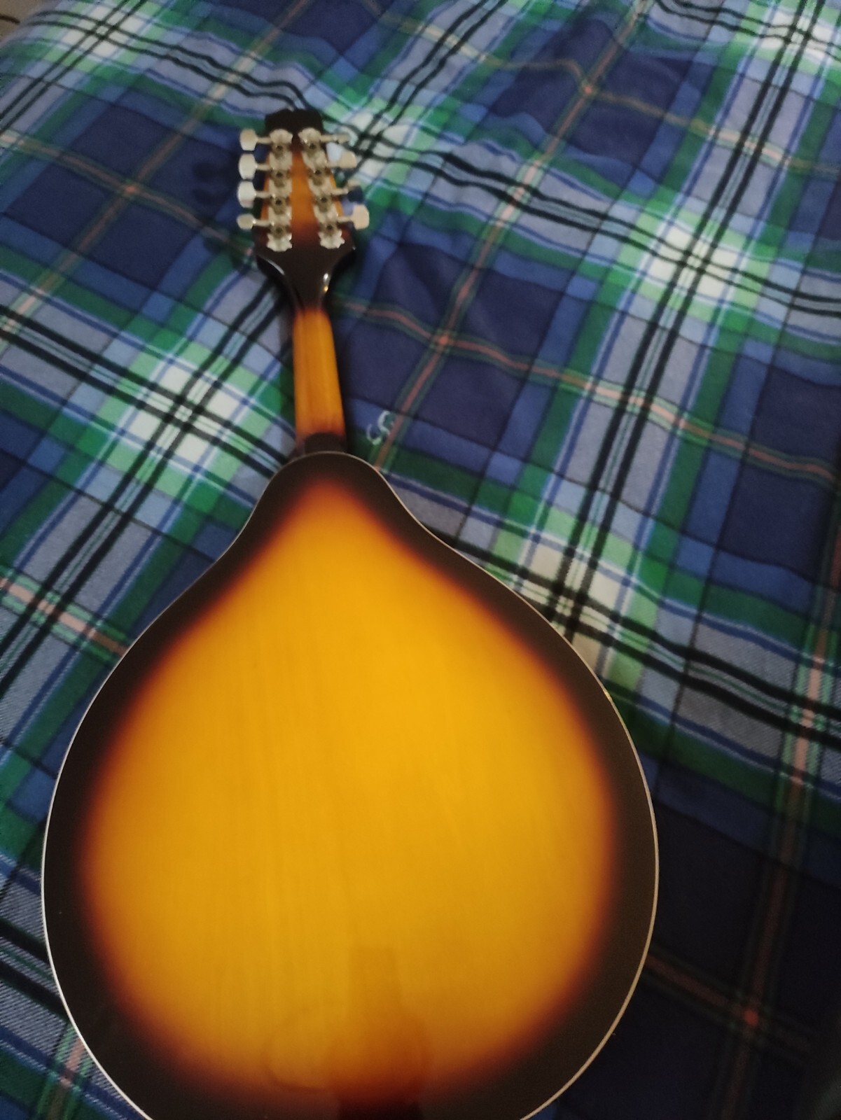 mandolins in musical instruments eBay