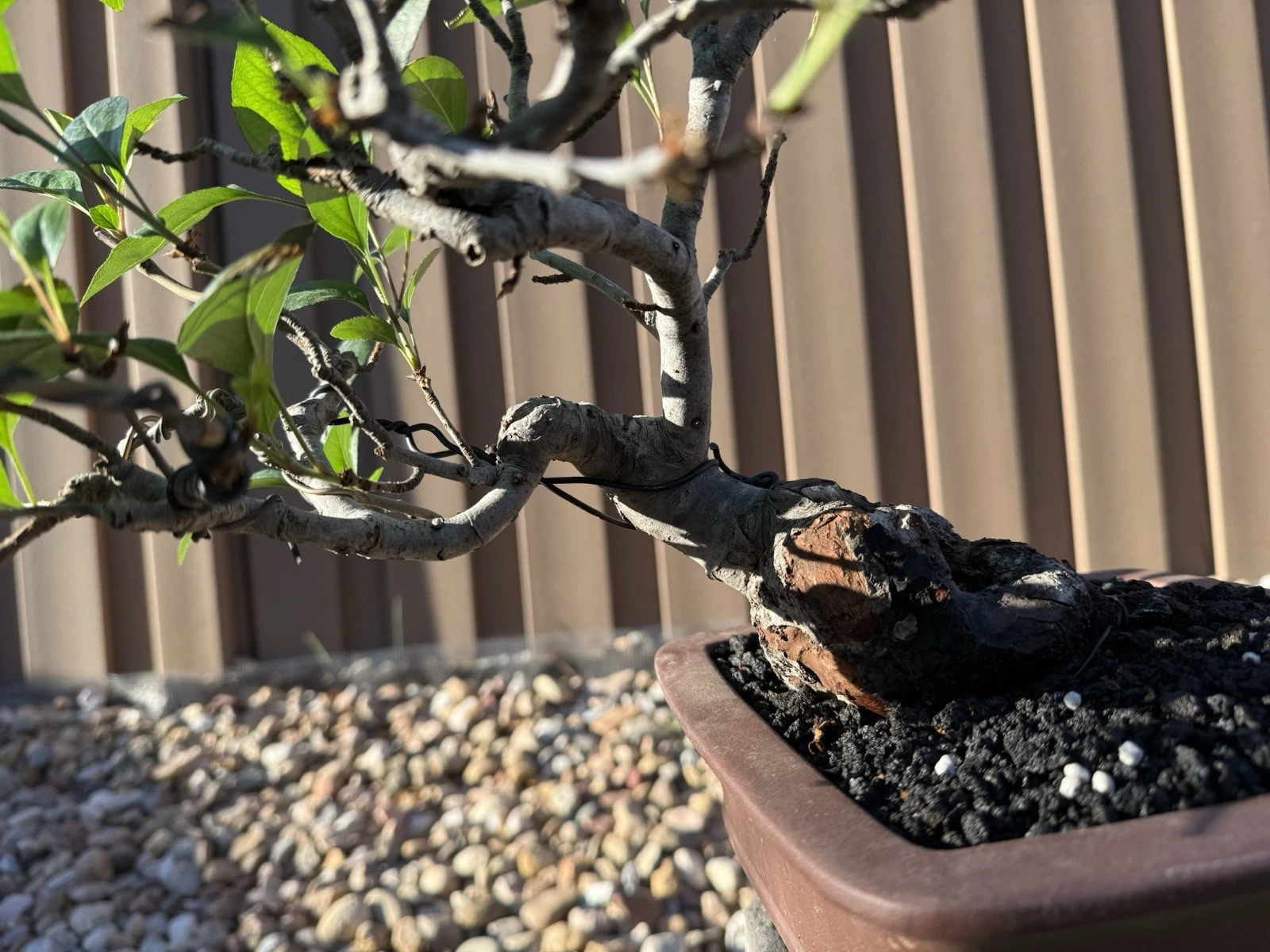 Picture 6 of 8