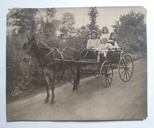 CAVALLO CALESSE ritratto ragazza bambini antica fotografia d'epoca vintage 1908