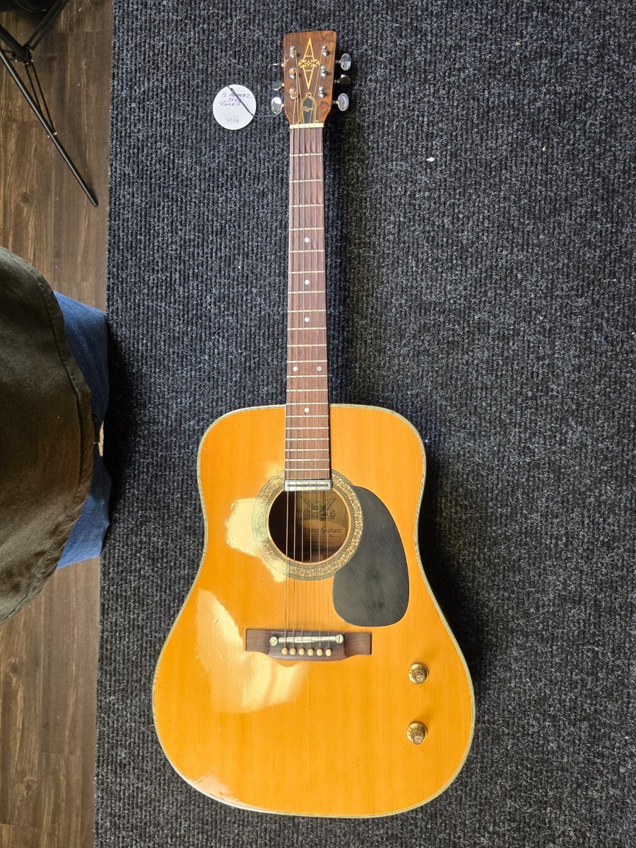 ひろし　アルバレス 1972 Alvarez 5046 Acoustic | eBay