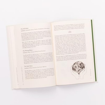 The Green Witch's Guide