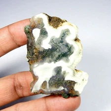 Green Moss Agate Slice Slab Rough Natural Gemstone Unpolised Loose 126 Ct #11835