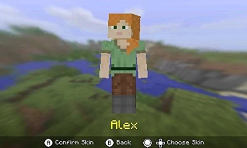 Minecraft: NEW Nintendo 3DS Edition [NEW Nintendo 3DS] 45496904517