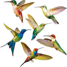 6 Pieces Large Size Hummingbird Window Clings Anti-Collision Decals to Prevent B