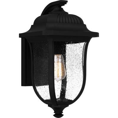 Mulberry 1-Light Matte Black Outdoor Wall Lantern