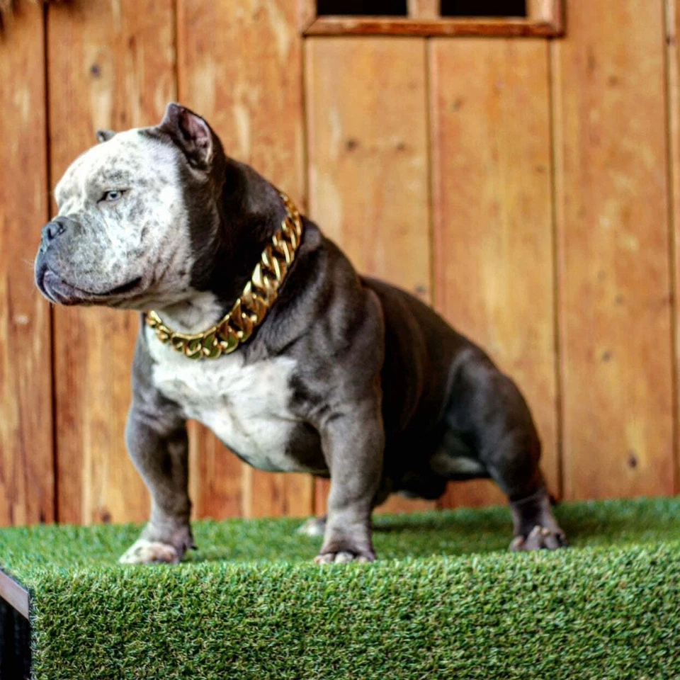 HONEY CUBAN - Image 4 of 4