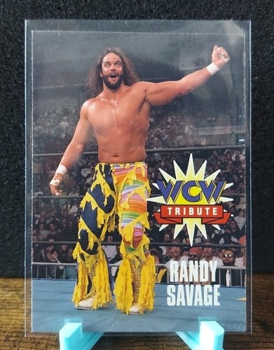1995 wcw cardz main event WCW Macho Man Randy Savage WCW tribute card 73 - 第 1/4 張圖片