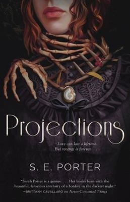 Projections : A Novel Hardcover S. E. Porter