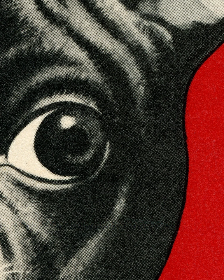 Vintage DOG POSTER! (up to 24 x 36) - 1950s Milk Bone - Boston Terrier - Pop Art - Image 3 of 4