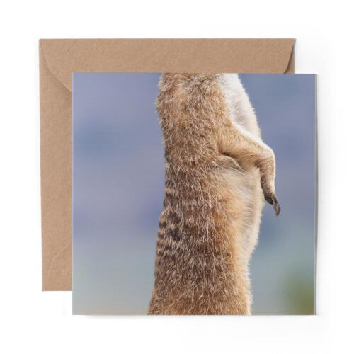 1 x Blank Greeting Card Funny Wild Meerkat Standing #63130 - Picture 1 of 1