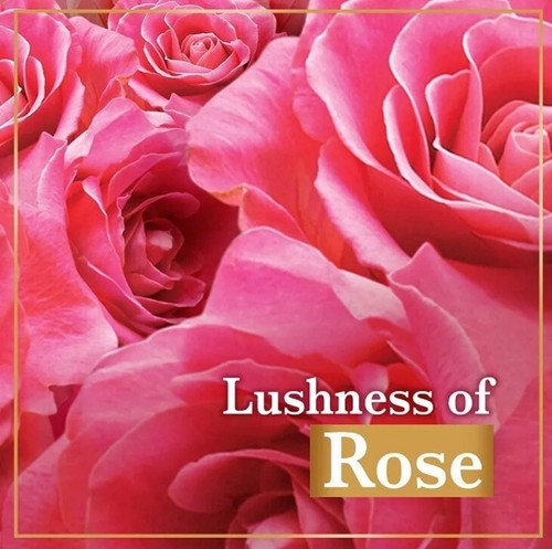 Lux Soap Bar Soft Touch French Rose & Almond Oil 80gm x 6 - Picture 3 of 5