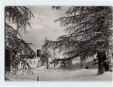 Postcard Scorcia Pannoramico Dalla Pineta Sestriere Italy