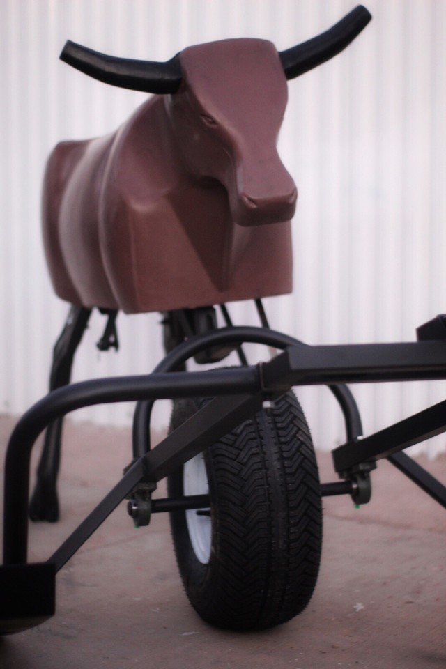 GROUND Driven Roping Dummies eBay