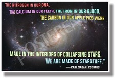 The Nitrogen in our DNA... Carl Sagan - NEW Motivational POSTER cm1188 