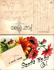 Santa Rose CA Flower Note Postcard Used (35792)