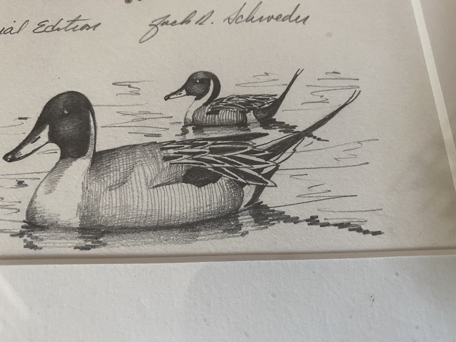 198081 artist Jack Schroeder & Maryland WARD Bros. Duck Decoy PRINT