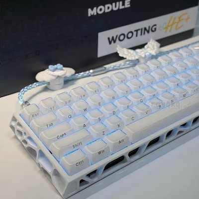 Fully Customized Wooting 60 HE (Contact for further