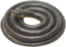 Gomma Snakes, Gomma Serpente, Realistico Regalo Serpente, Realistico Serpente Gi