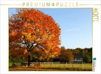 Calvendo Puzzle Krummenweger Street, Lintorf | 1000 Pieces, Finished Size 25.2 ×