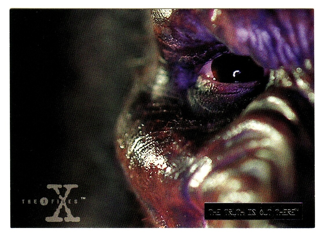 X-FILES SEASON 1 THE TRUTH IS OUT THERE PARALLEL INSERT CARD 43