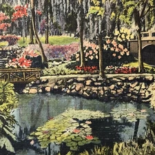 Florida Vintage Postcard Dickson Azalea Orlando Nature
