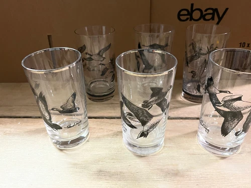 6 Vintage Highball Federal Silver Rim Game Bird Sportsman Cocktail Glasses