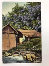 vintage 1914 cabin in forest divided back postcard