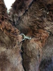 Picture 3 of 6