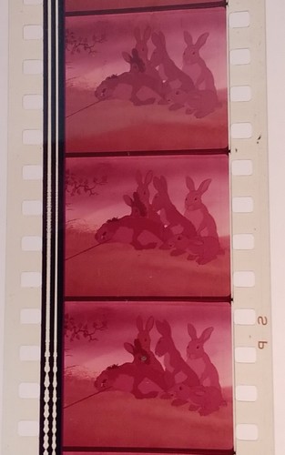 35mm Feature Film – Watership Down 1978 - Foto 4 di 11