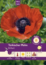 Türkischer Mohn Brillant Samen von Pabst Keimkraft