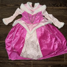 Disney princess costume