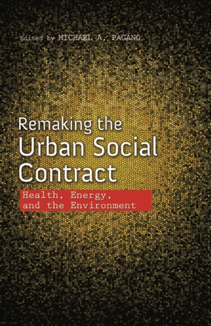 Remaking the Urban Social Contract by Michael A. Pagano PAPERBACK 9780252082207