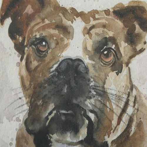 Uttermost 32466 Dog Days 28 X 23.38 inch Framed Prints, Set of 4 - Picture 3 of 7