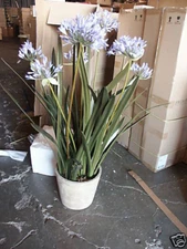 Frontgate 4' Agapanthus Floral Purple Tree Urn Flower Pot Indoor Outdoor spring 