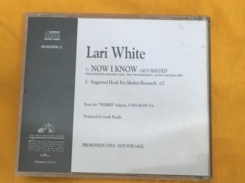 LARI WHITE Now I Know DJ PROMO CD Single 1994 2tr RIP - Picture 2 of 3