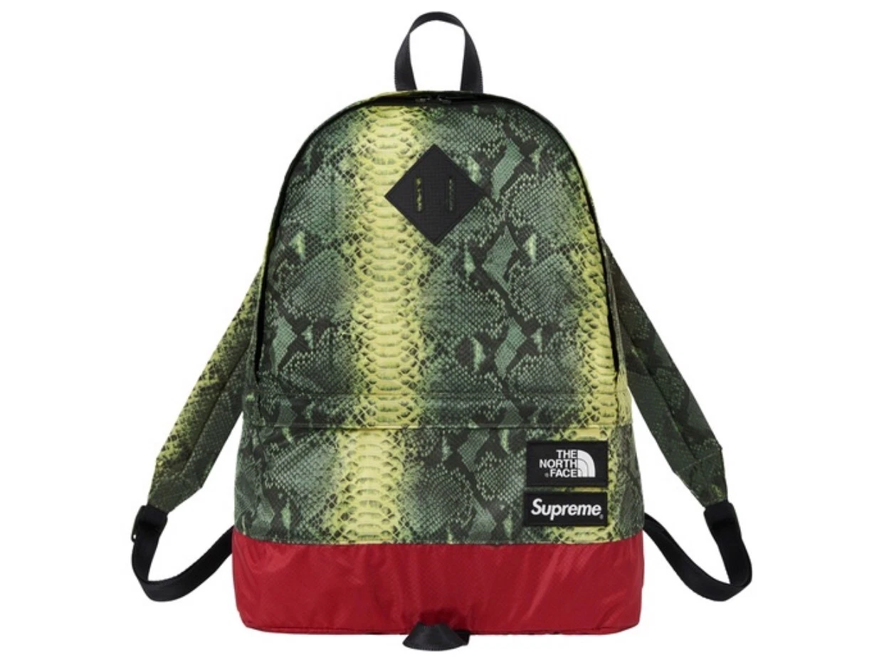 Pack de jour léger en peau de serpent Supreme®/The North Face® SS18   Vert