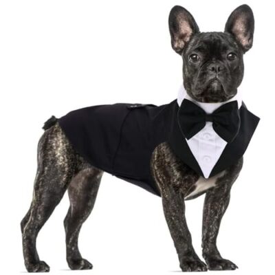Dog Tuxedo for Medium Dogs Dog Suit and Bandana Set Dog Wedding