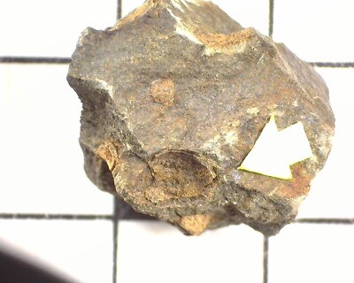 19814 MM Carpathite Near Cook Skamania County Washington USA