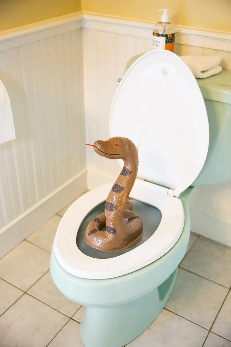 Snake Toilet Bowl Monster - Hisss-terically funny! Bathroom Scary Gag Prank  Joke